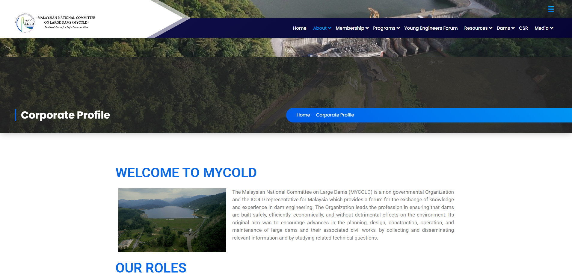 Website MYCOLD